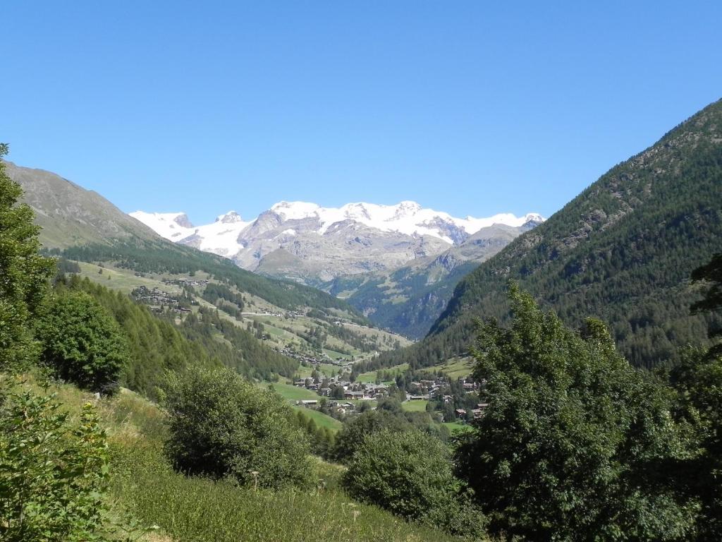 Villa Americana Chambres D'Hotes Champoluc Eksteriør bilde